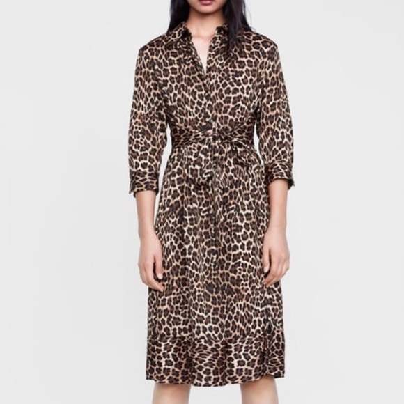 Zara Animal Print Dress - Picture 2 of 8